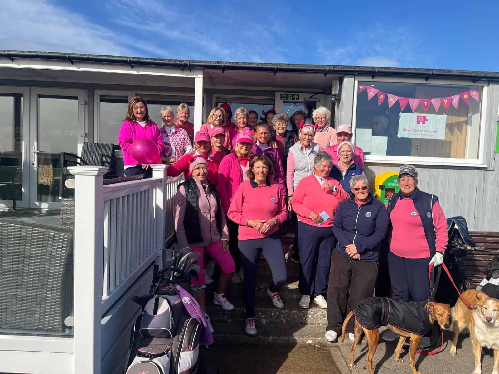 Wear it Pink charity day